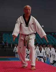 Image result for Taekwondo Training Equipment
