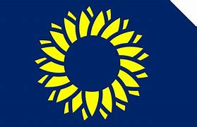 Image result for Kansas Flag Logo
