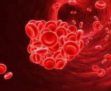 Image result for hemoglobina