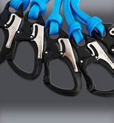 Image result for Double Locking Snap Hook
