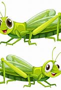 Image result for Happy Grasshopper Cartoon