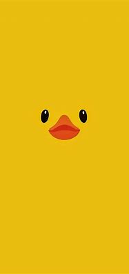 Image result for Cute Duck Wallpaper Phone