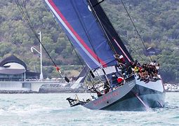 Image result for Yacht Race