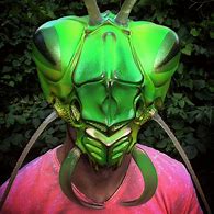 Image result for Mantis Helmet Meme