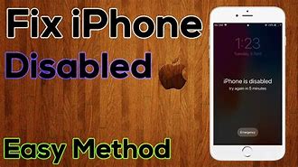 Image result for How to Connect Disabled iPhone to iTunes