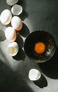 Image result for Egg Photography