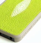 Image result for Lime Green iPhone 5S