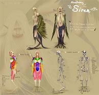Image result for Siren Mermaid Anatomy