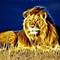Image result for Trippy Rasta Lion