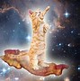 Image result for Screaming Cat Meme in Galaxy