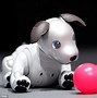 Image result for New Sony Aibo Robot Dog