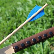 Image result for Arrows First Bow