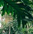 Image result for Edwardian Botanical Wallpaper