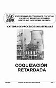 Image result for coquizaci�n
