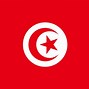 Image result for Official Tunisia Flag
