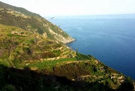 Image result for Campogrande Cinque Terre