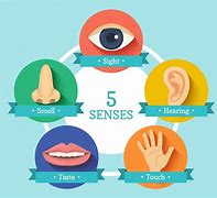 Image result for Body Senses Iquize Picture