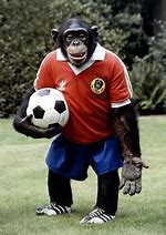 Image result for Monkey Football Team