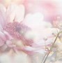 Image result for Pink Floral Wallpaper MacBook