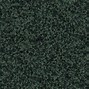 Image result for Green Painted Texture