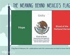 Image result for Mexican Flag with Meme