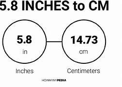 Image result for What Does 6 Inches Look Like