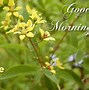 Image result for Good Morning Make Today Great