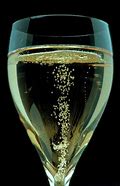 Image result for Bubbles From Glass of Champagne Iamges