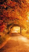 Image result for Beautiful Fall Sky