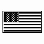 Image result for What Flag Represents the United States of America