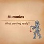 Image result for Mummies Facts