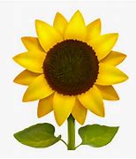 Image result for Sunflower Emoji iPhone