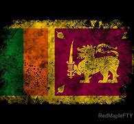 Image result for Sri Lanka Old Flag