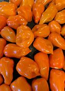 Image result for Habanero Pepper Sauce
