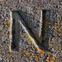 Image result for Letter N Photography