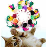 Image result for Fun Cat Toys