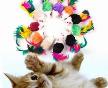 Image result for Fun Cat Toys