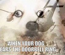 Image result for Dog Ringing Doorbell Meme