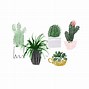 Image result for Minimalist Aesthetic Plant Desktop