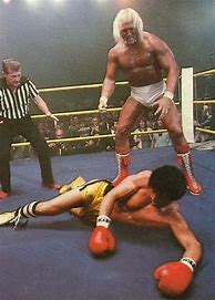 Image result for Rocky vs Hulk Hogan