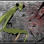 Image result for Kung Fu Mantis Style