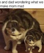 Image result for Loading Kitten Meme