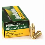 Image result for 22 Caliber Ammo