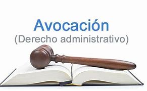 Image result for avocaci�n