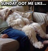 Image result for lazy sunday memes