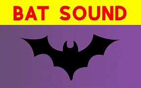 Image result for Bat Sounds in Attic