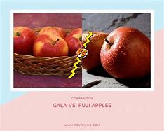 Image result for Fuji Apple vs Gala Apple