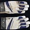 Image result for Air Jordan Batting Gloves