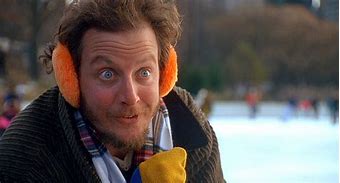 Image result for Home Alone Bad Guys