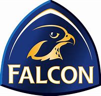 Image result for Falcon Logo Design On T-Shirt